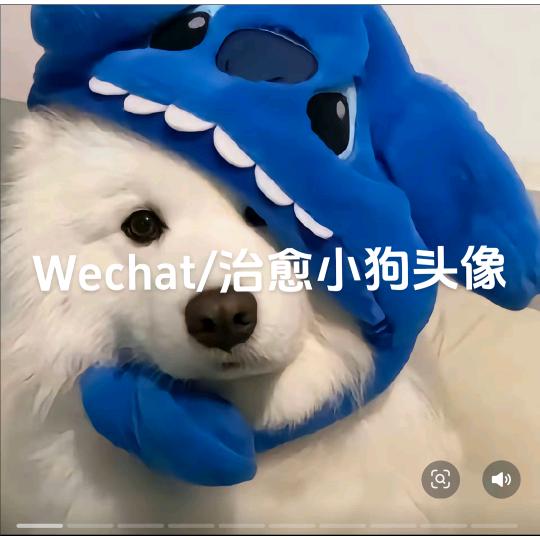 哈密瓜👿૮ ˙Ⱉ˙ ა