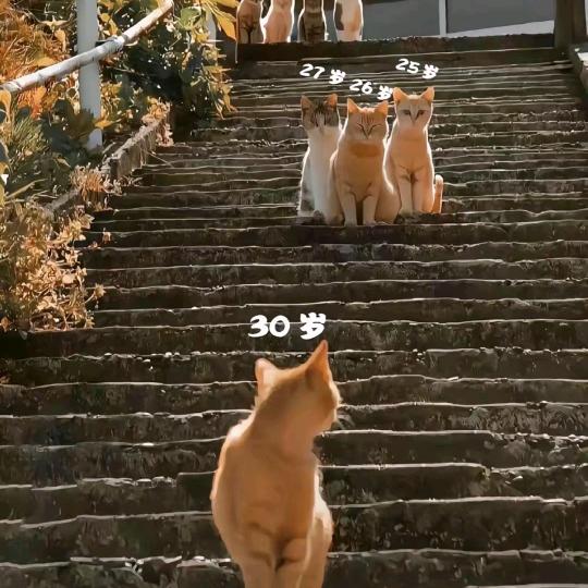 他不会哭！