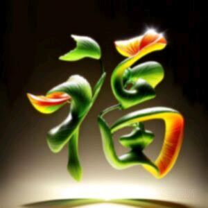驾校何教练