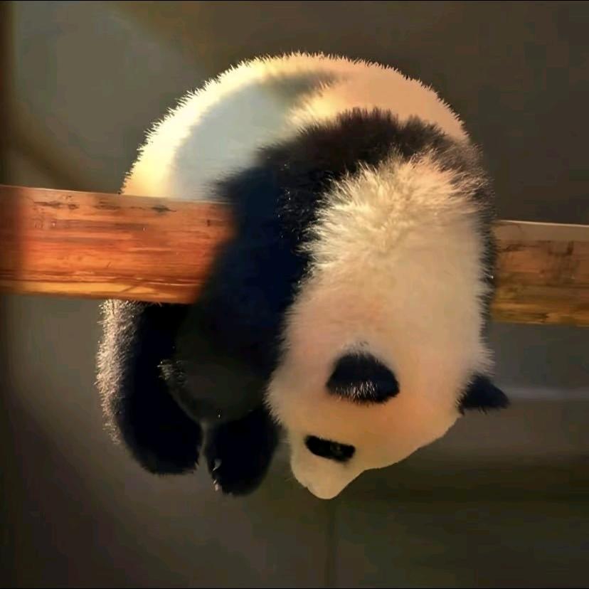 周一