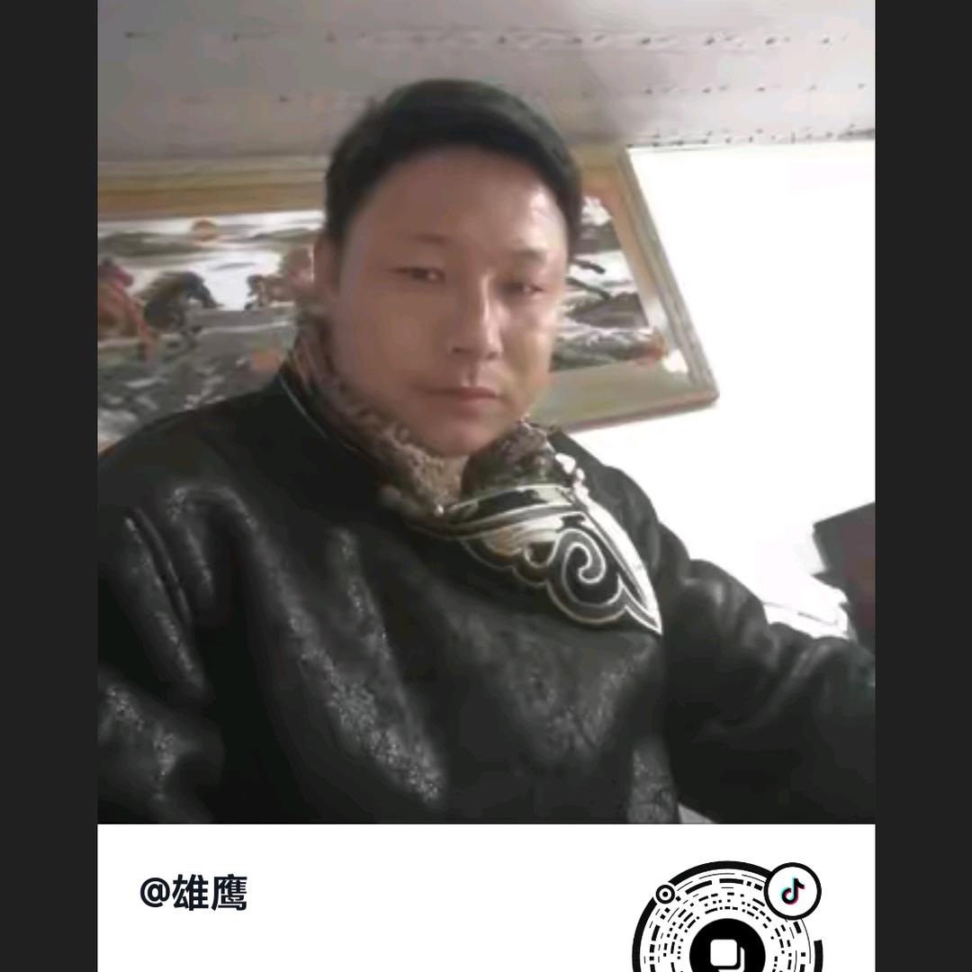 雄鹰