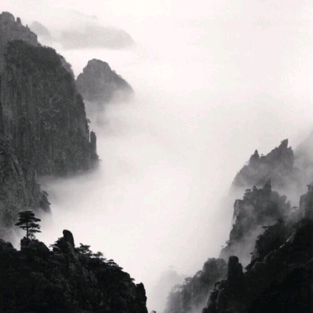 沈逢溪
