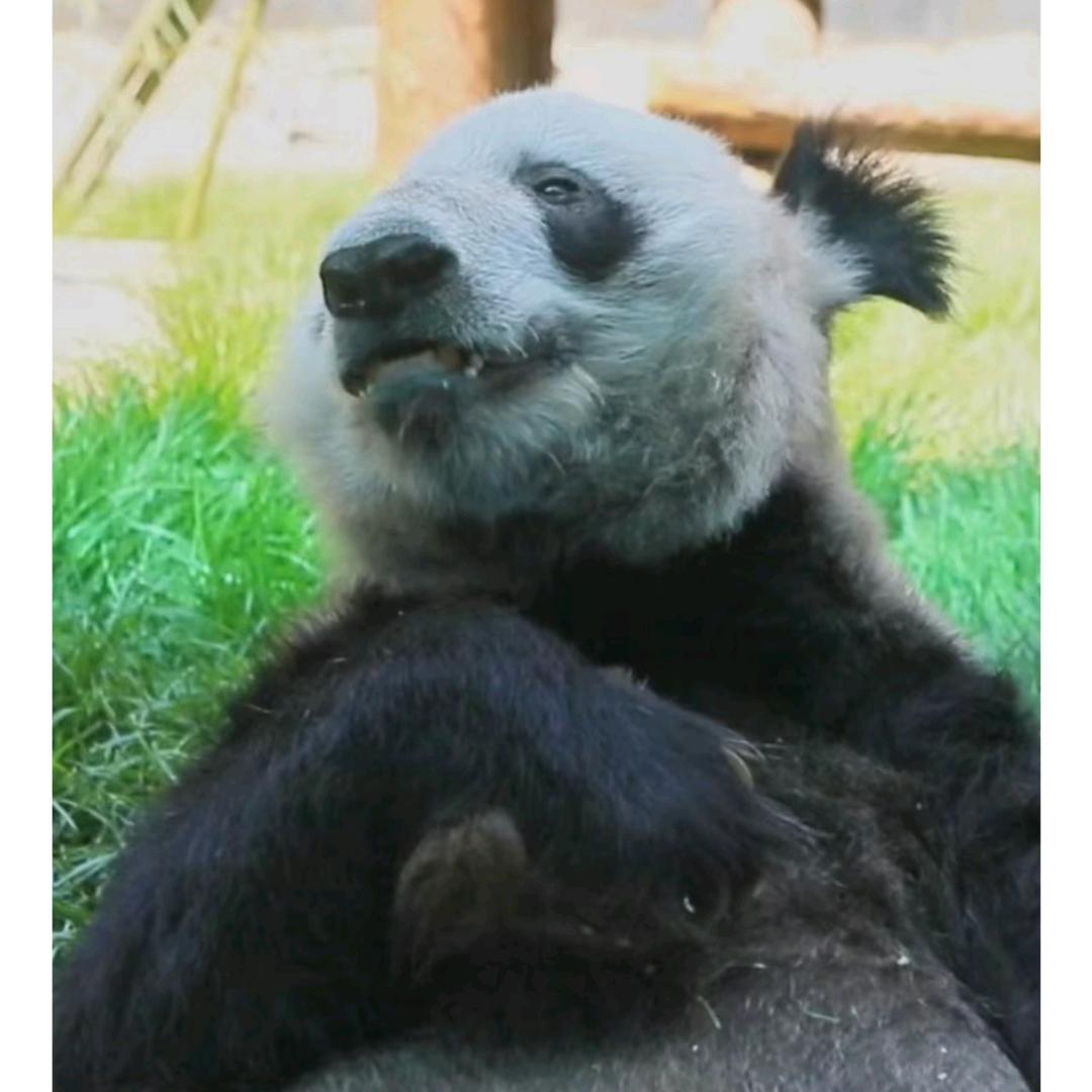 澳宝aobao