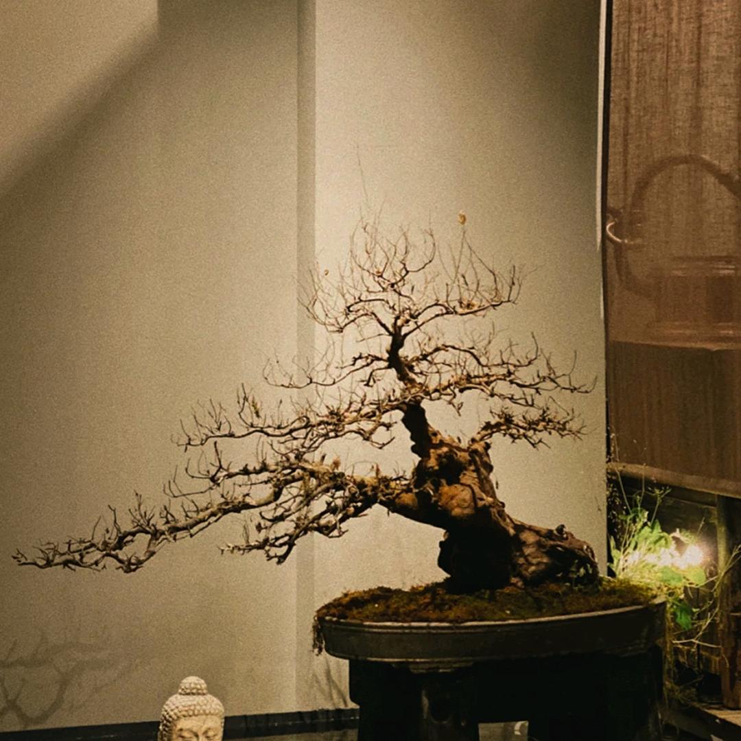 南苑智慧说（马弘雅苑）
