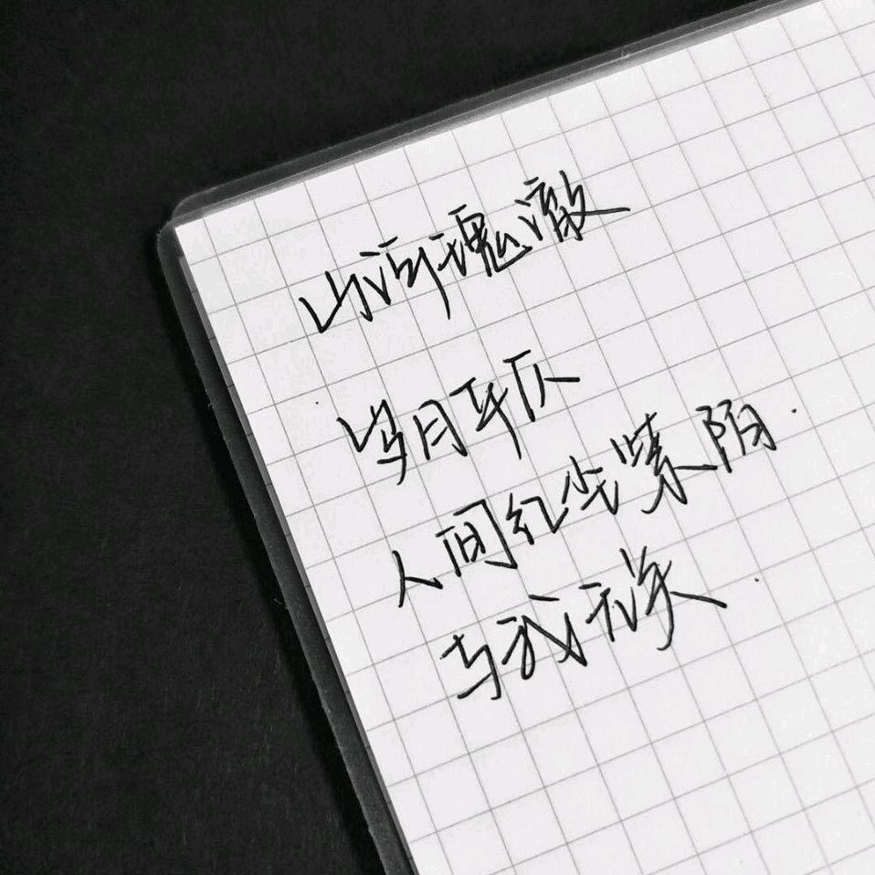 一张不够花（ZXM）