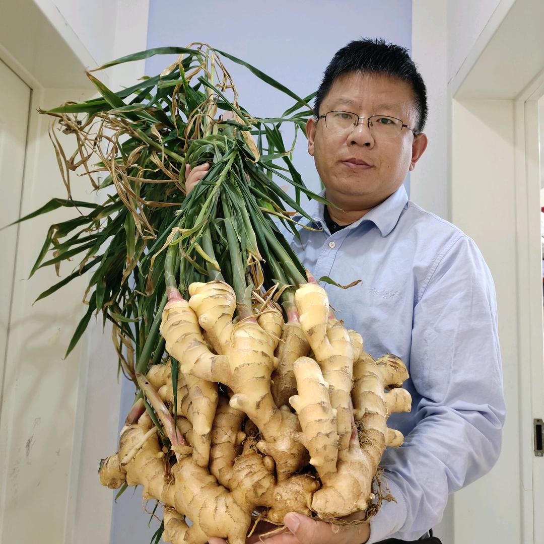 袁哥说大姜