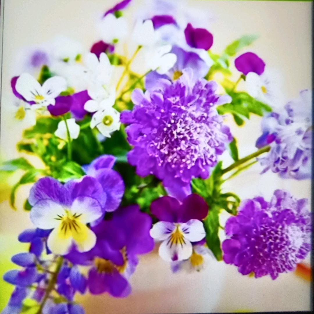 蜜糖糖果🍬