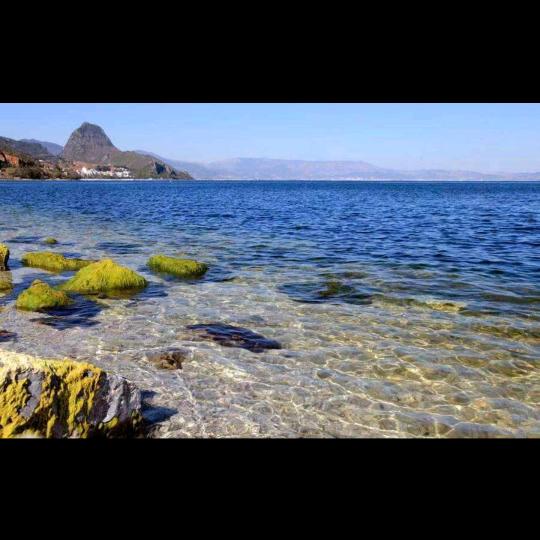 念你一生