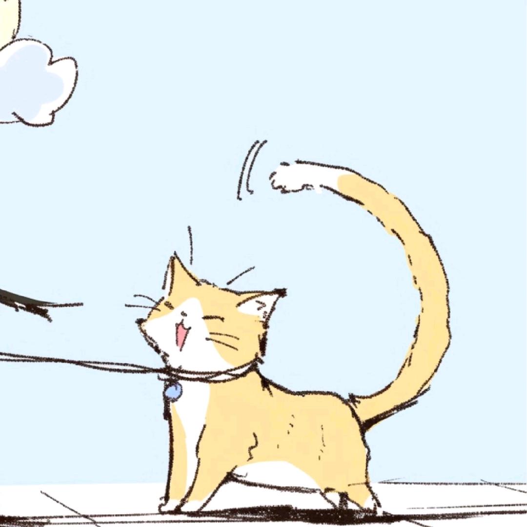 一只面包猪咪🐱