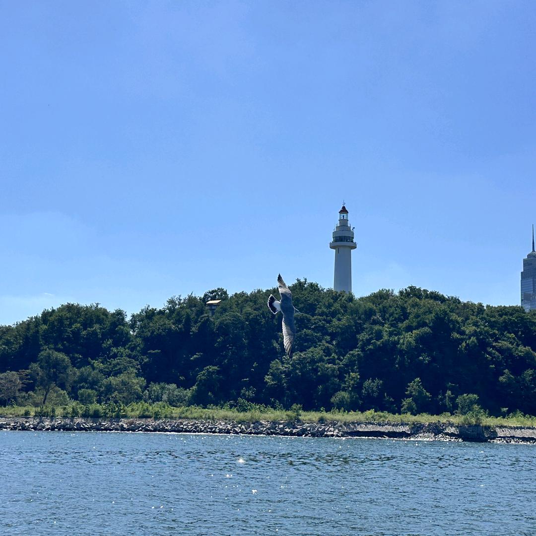 大李在改变✍🏻