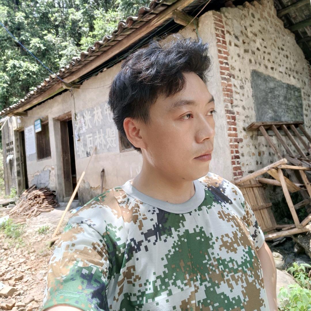 凤哥