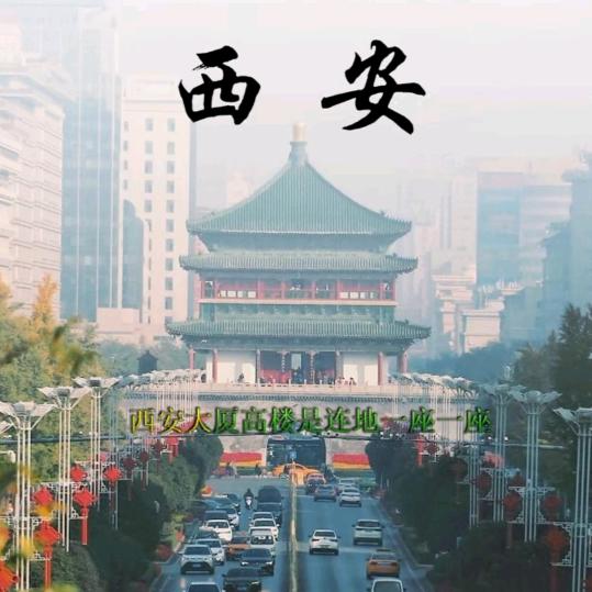 缘点哥（谈情太老，谈钱太少！）