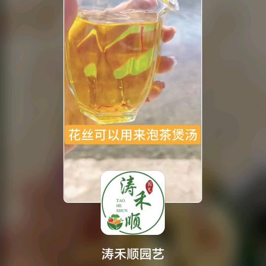 知心朋友
