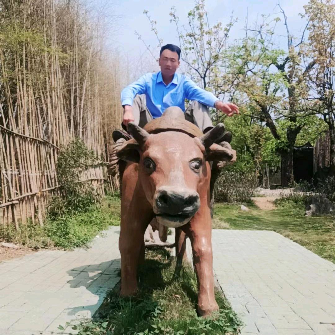 未来的梦想过一生。