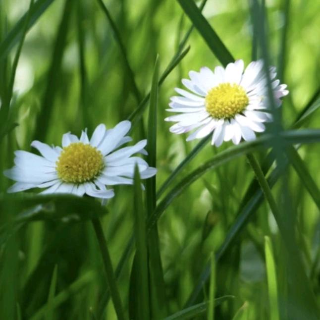 诚实做事，真诚做人