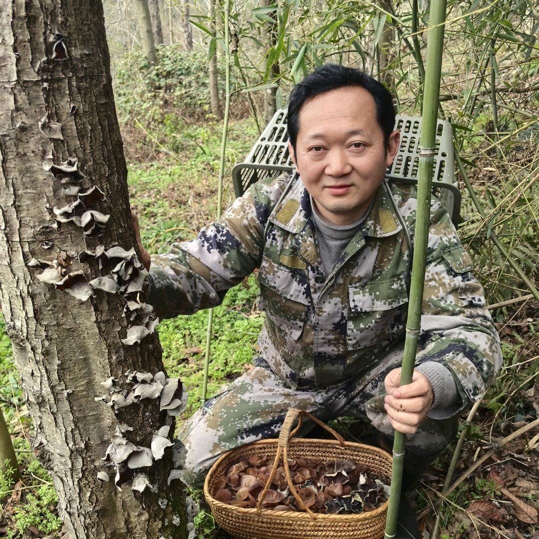 风云人武