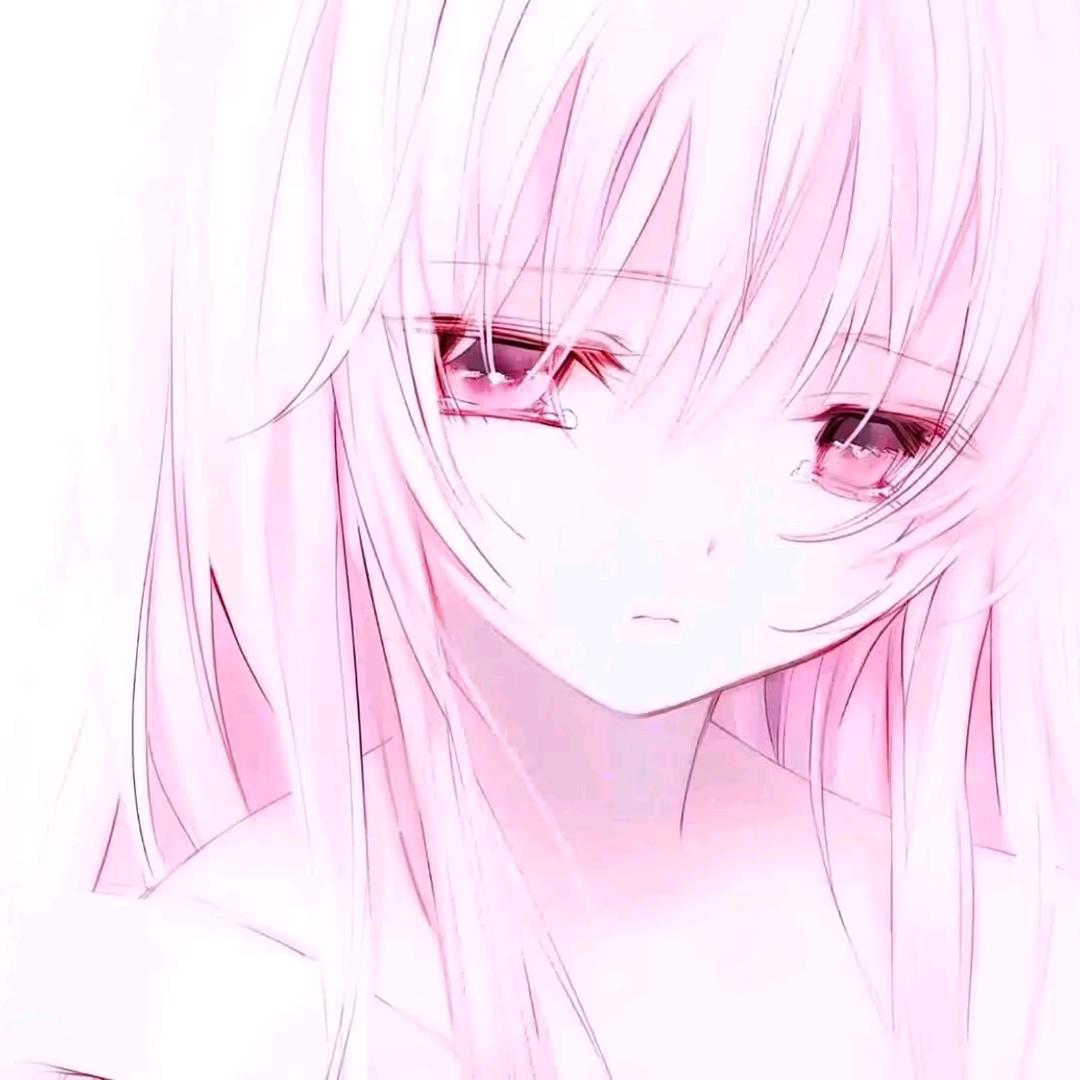 北纬67度以北的雪