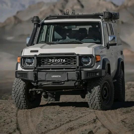 再见了运动男孩