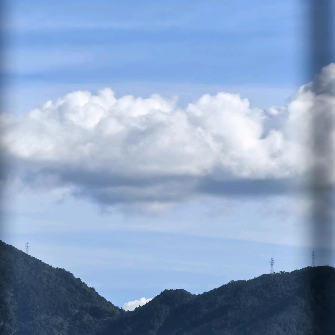 생정말복다