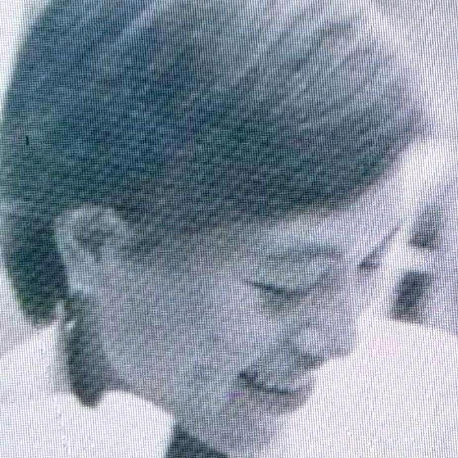 诗的远方☞