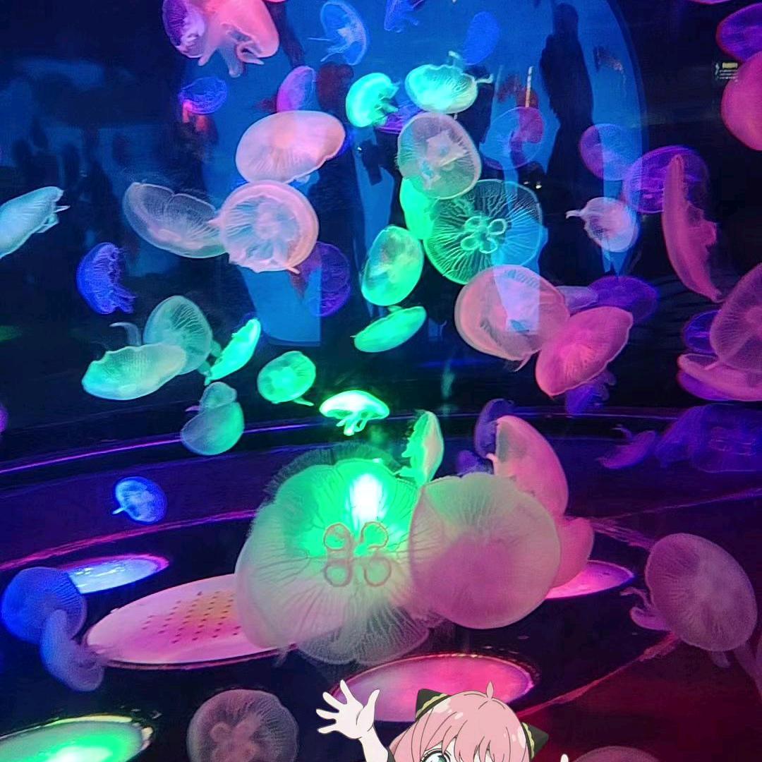 细细品味人生🙂