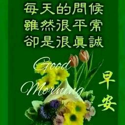 真心无二