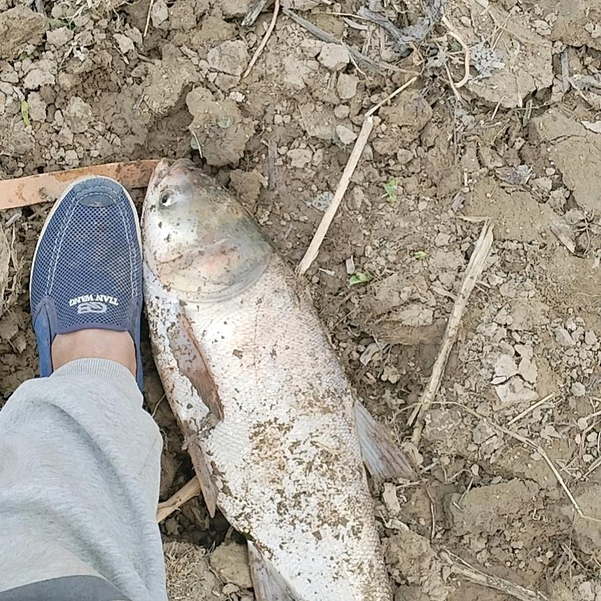 冰的温度你知道