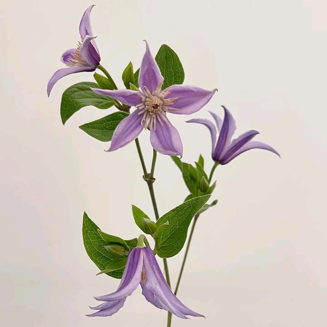慢慢来∞