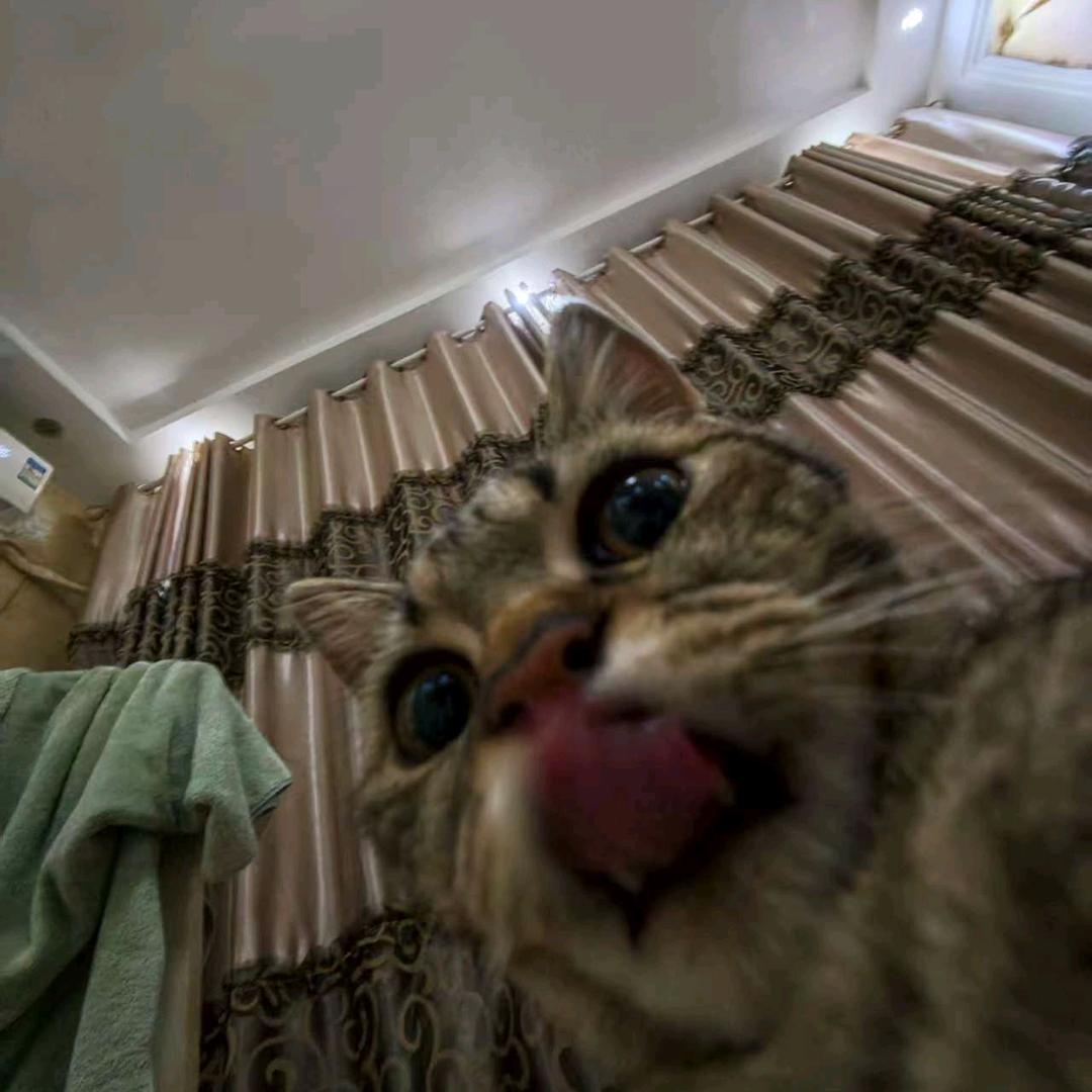 国家不保护废物