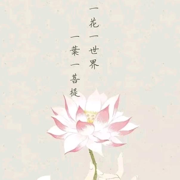 那年花开