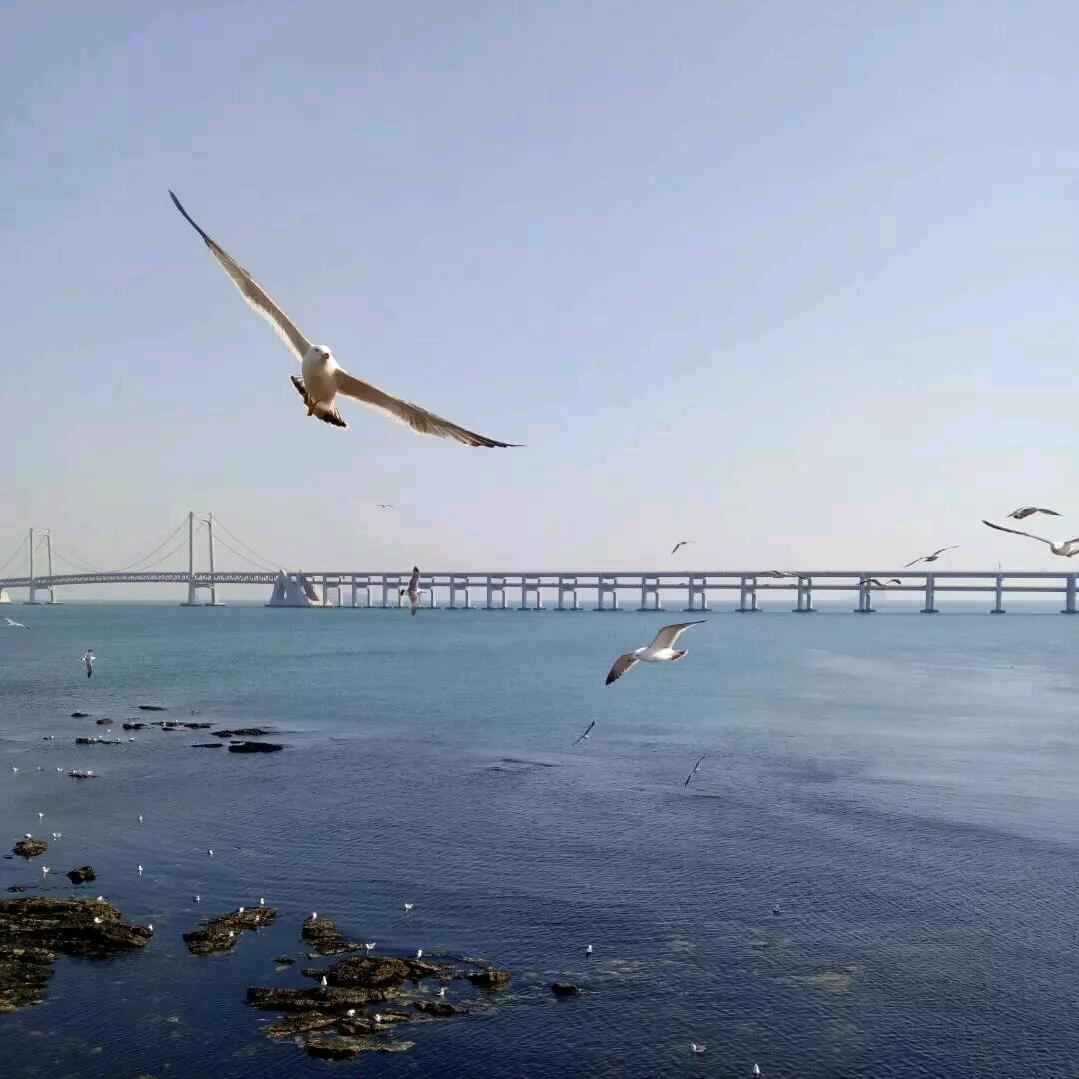 海阔天空%
