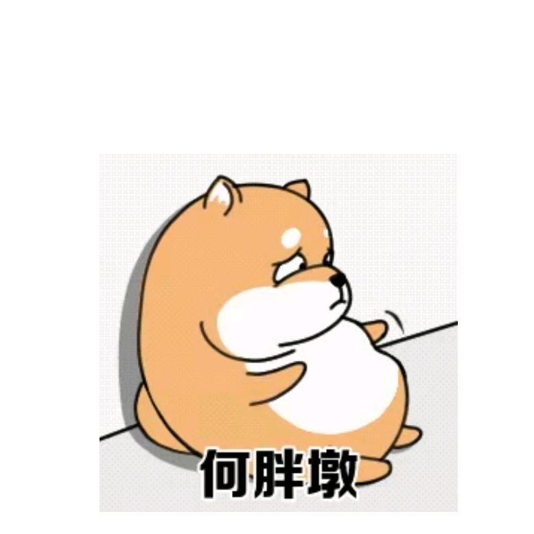 洋呱呱