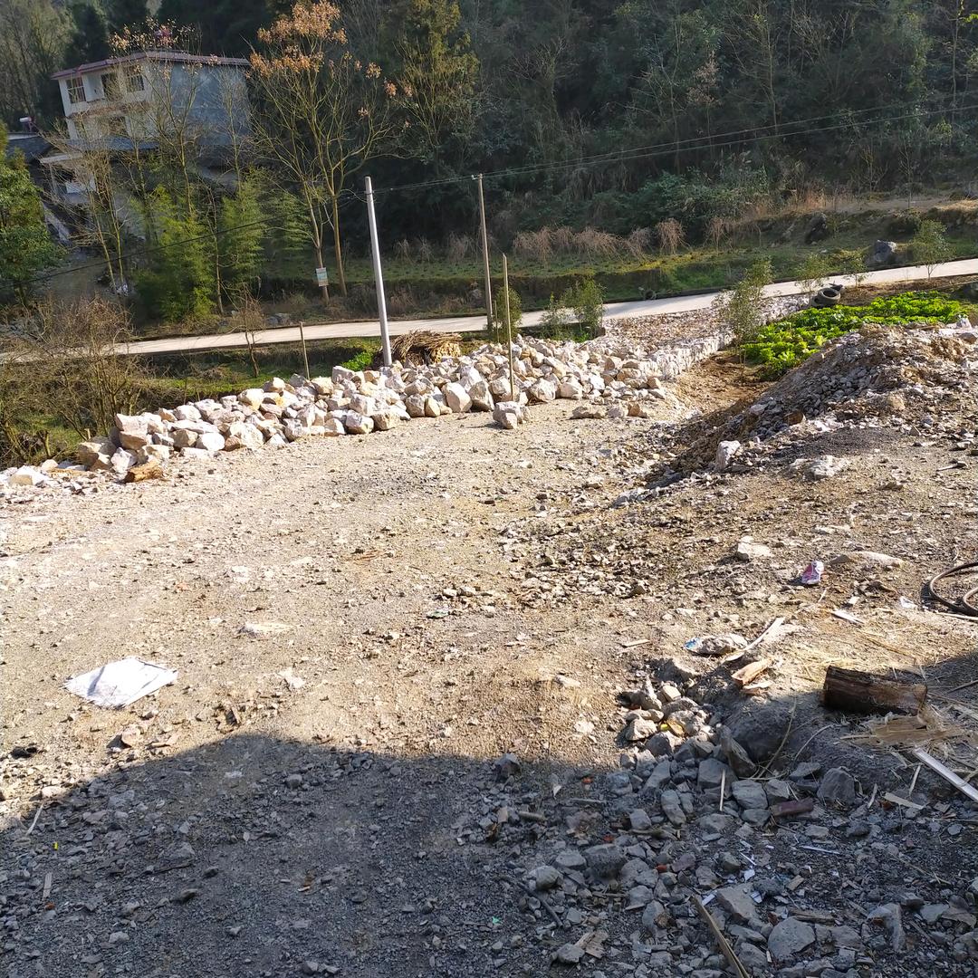 已重置