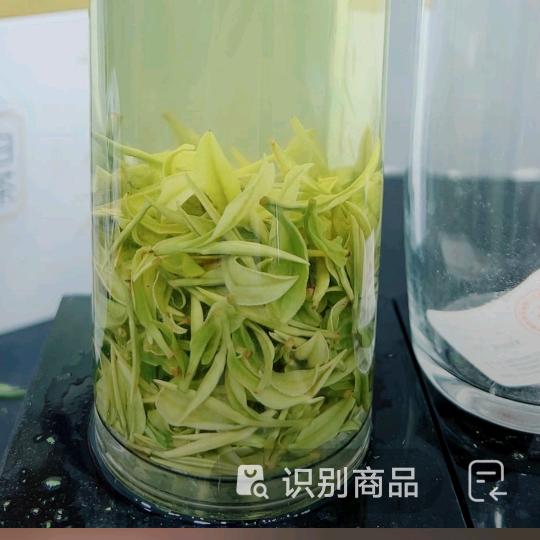一切都有可能