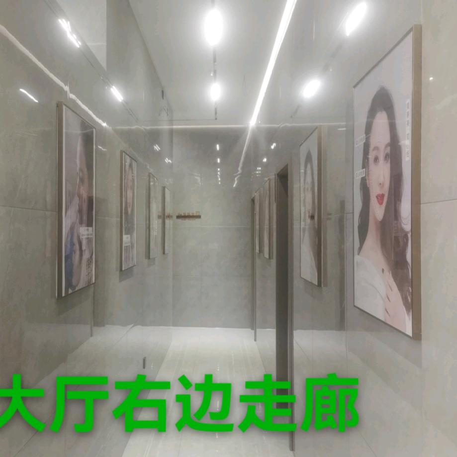 林贞科技医疗美容养生