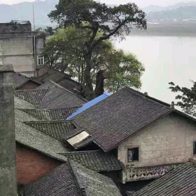 蜀的霞光