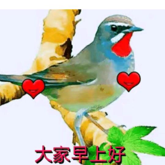 坚持正义。