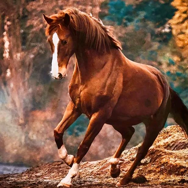 扎扎（小东西）