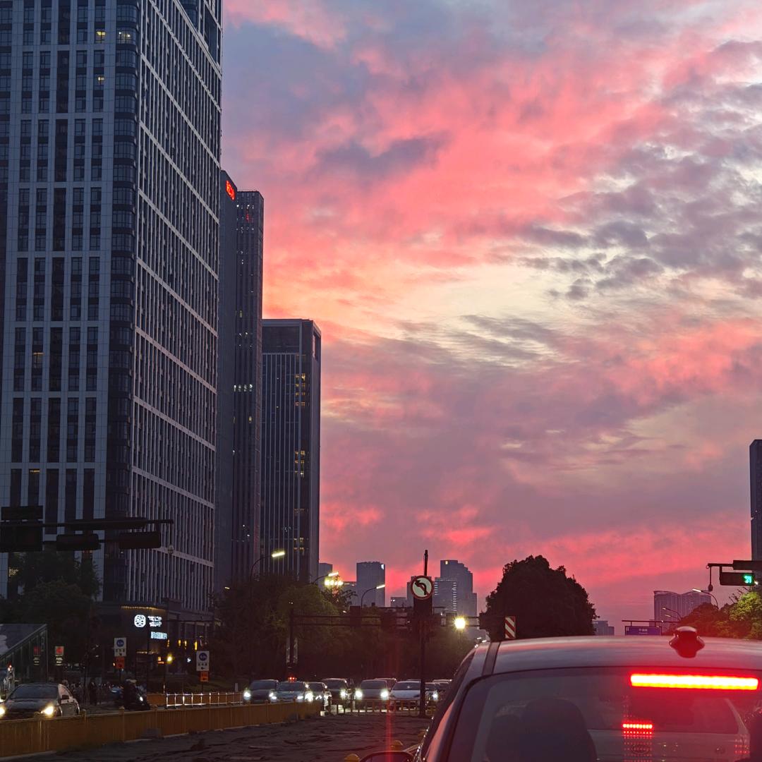 樱花树