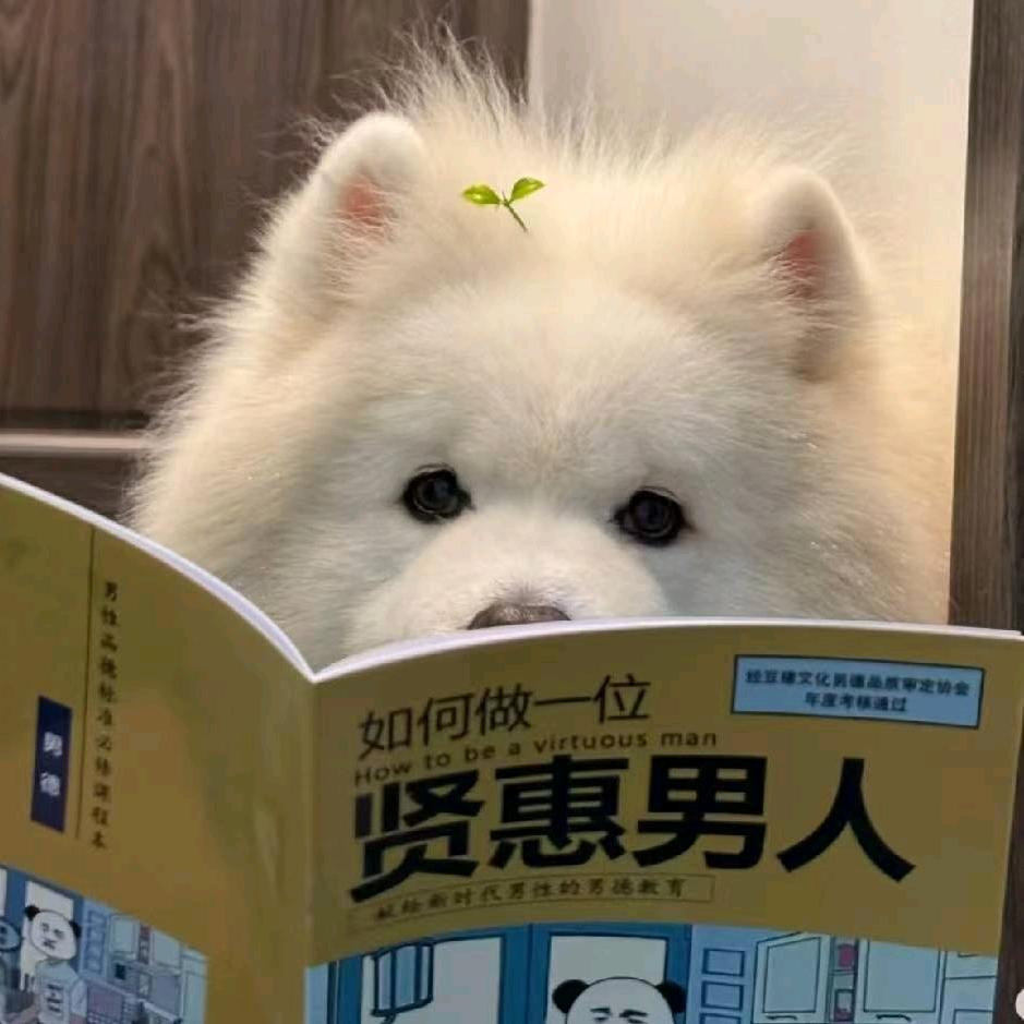 流氓