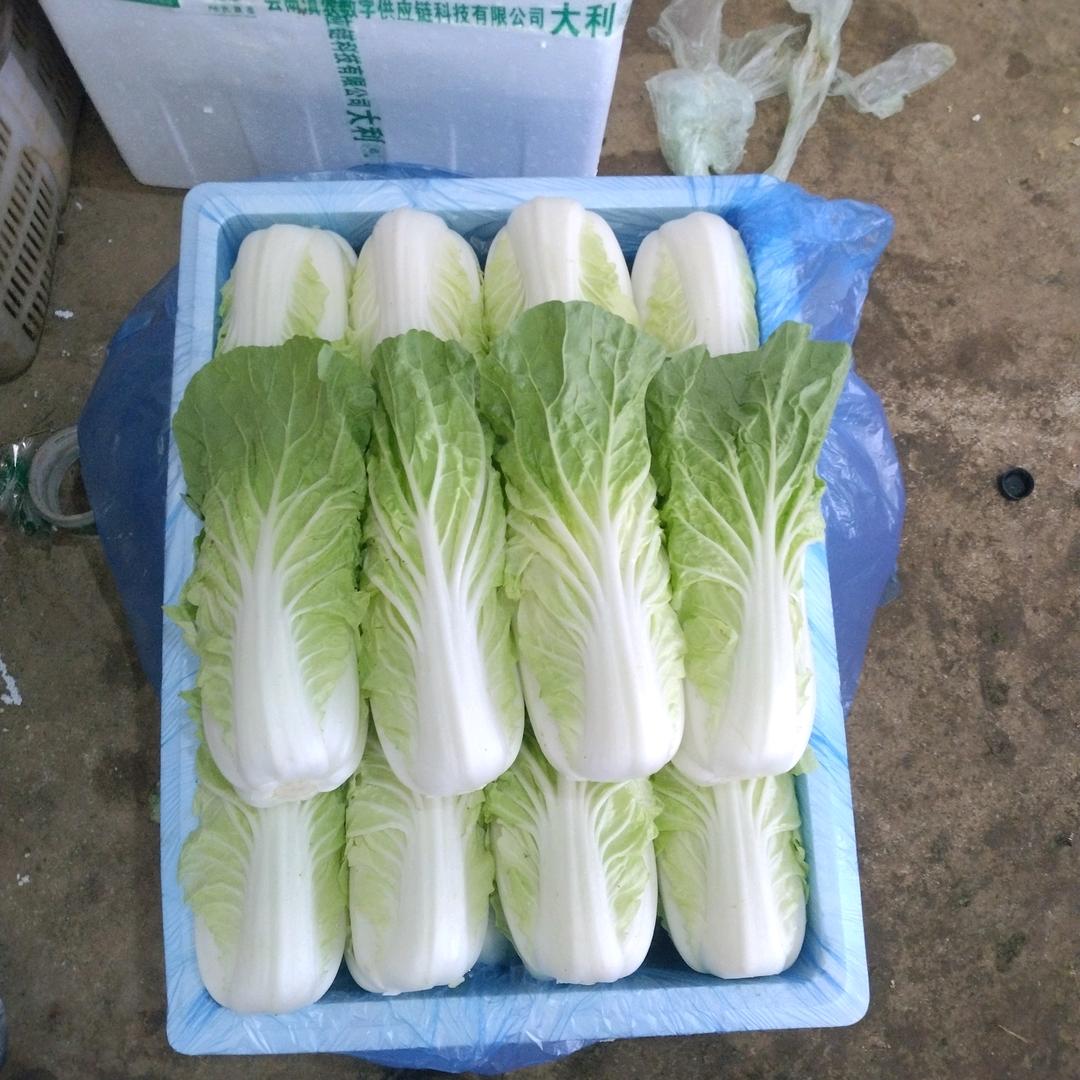 青春不老