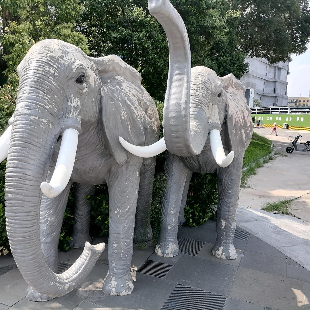 看着我的名，记住我的姓