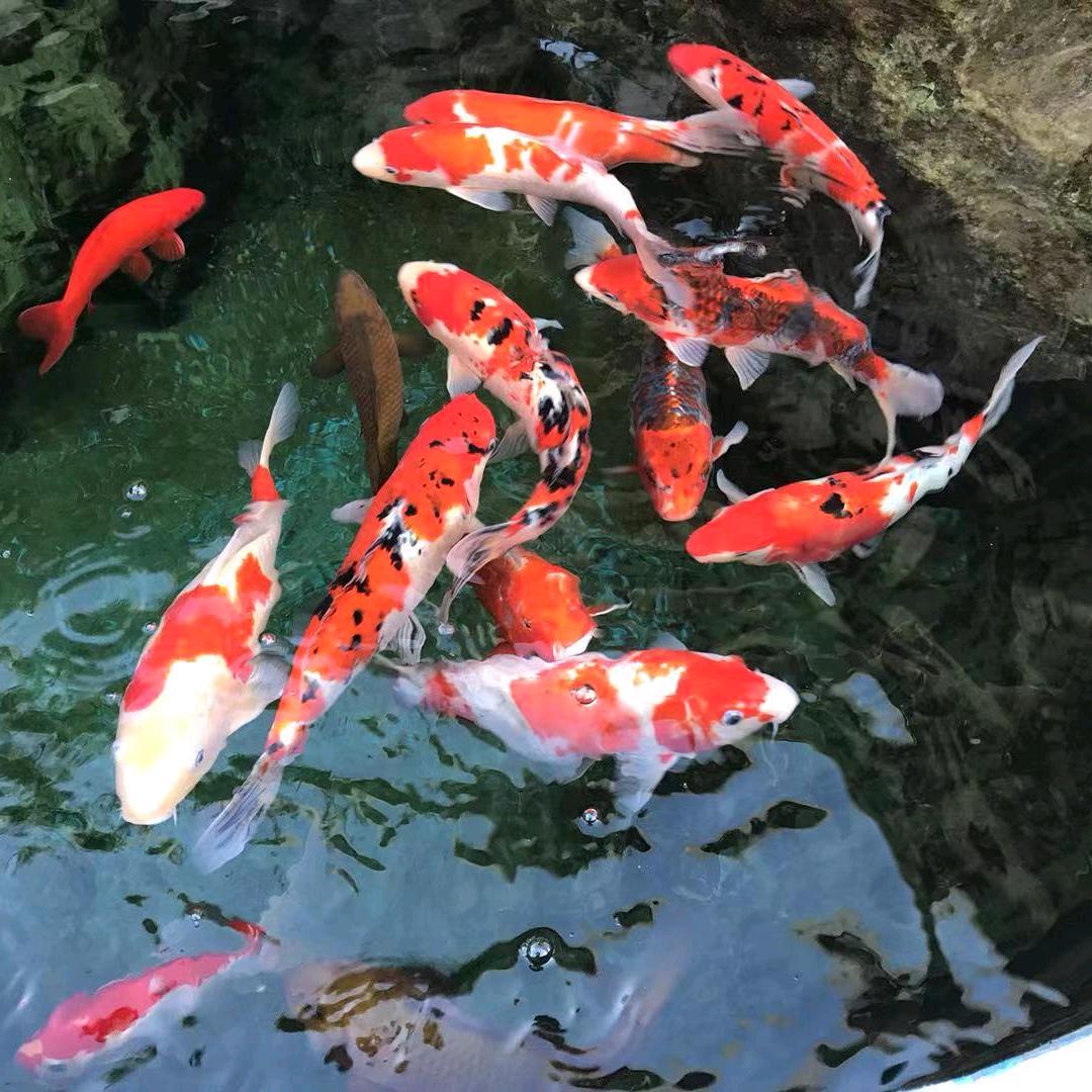 平安幸福🐠🐠🐠