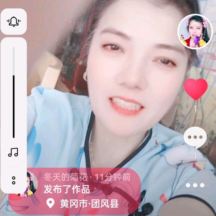 冬天的菊花