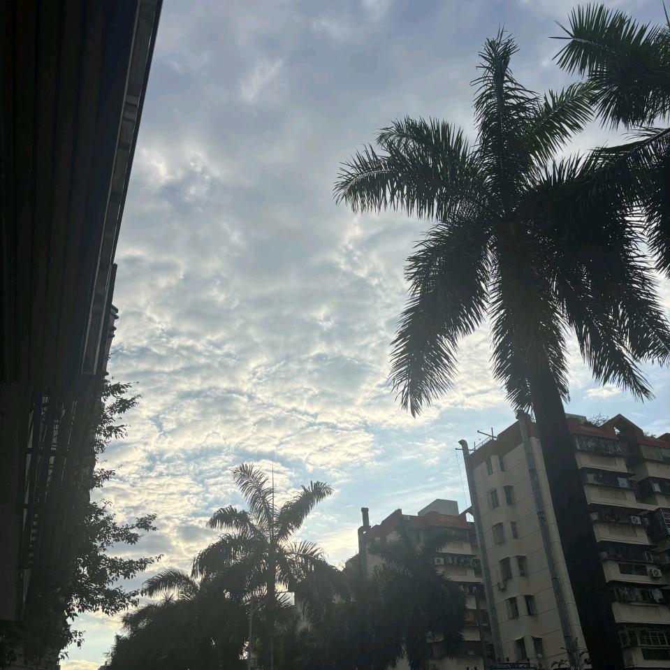 扒拉扒拉