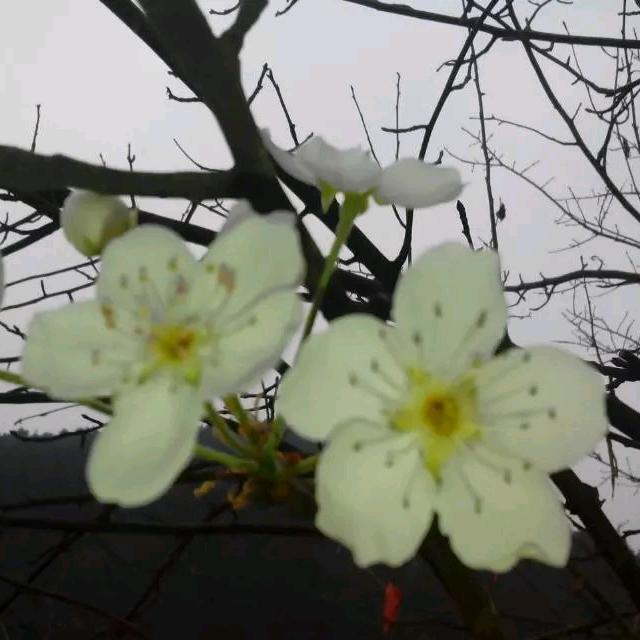 曾庆春