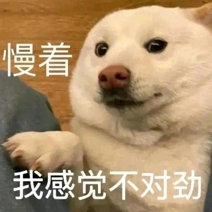 白 昼