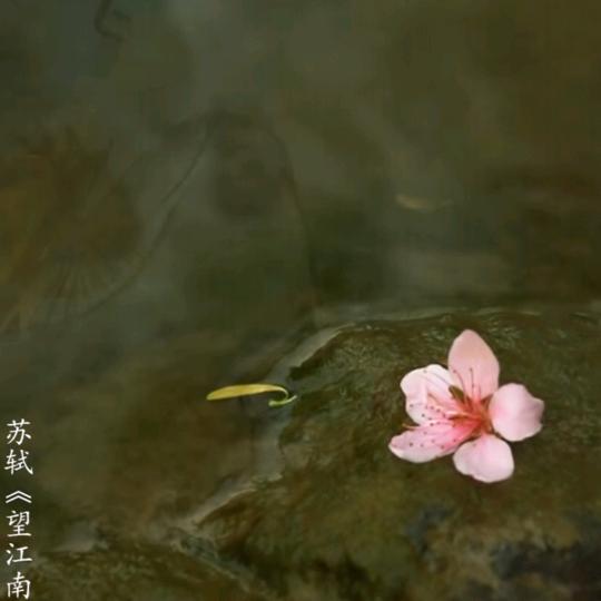 weiwei在跑步