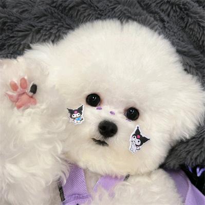 ㉿诏猫逗狗宠物生活馆℘࿐ᩚ