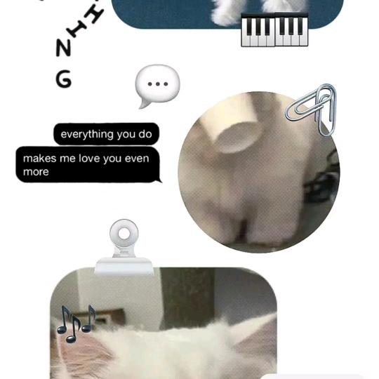 吃猹的瓜
